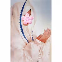 بسته جشن عبادت آبی نرگس کد : 503