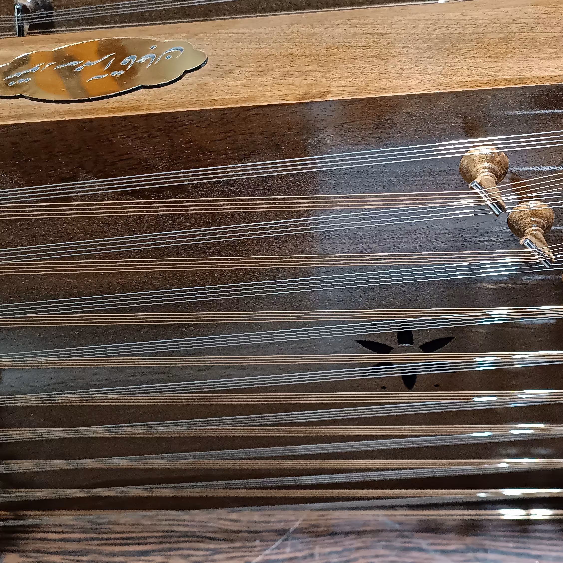 سنتور طرح گردو