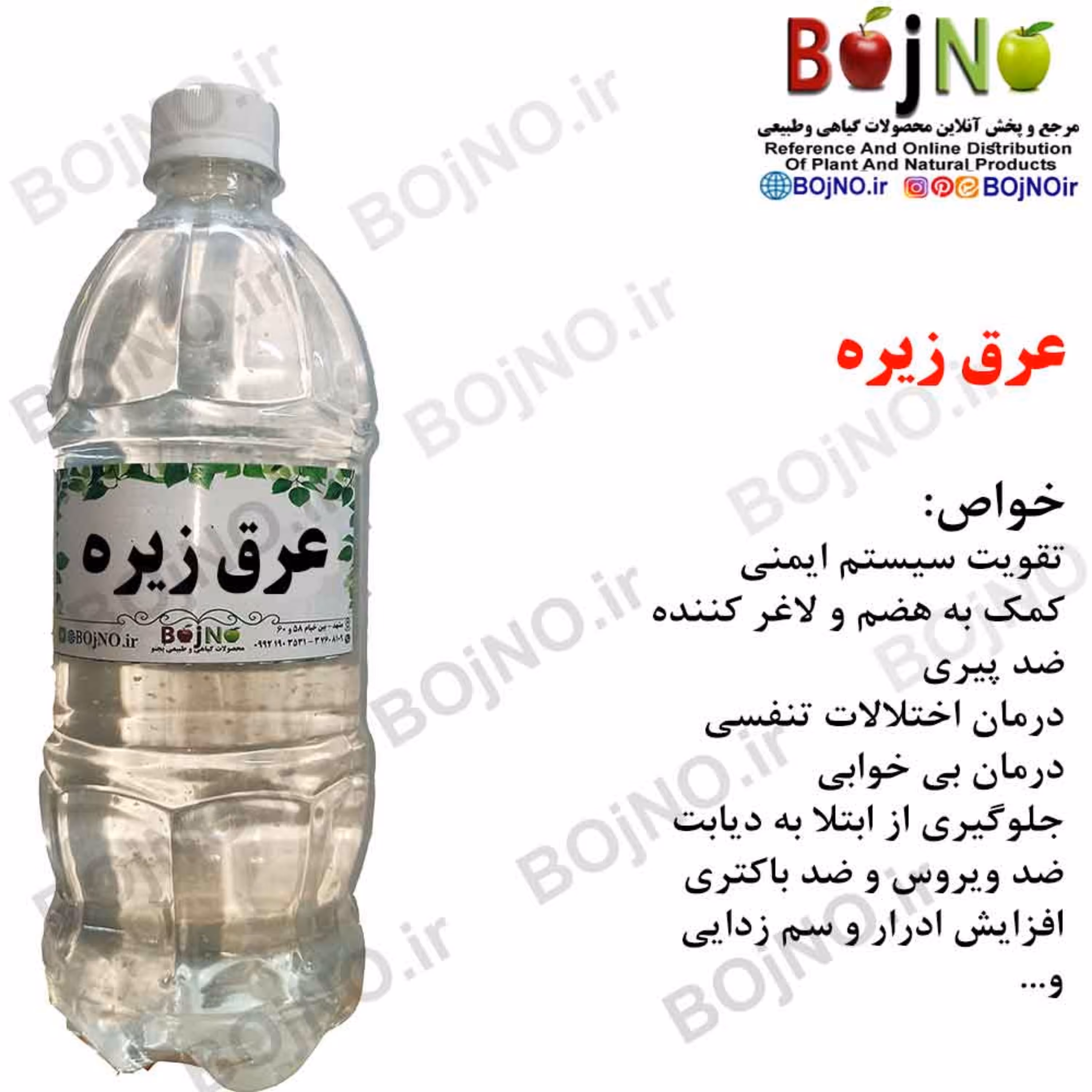 عرق زیره سنتی بجنو (آب چشمه)