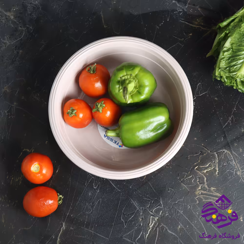 لگن پریا سایز 1 تسا