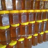عسل طبیعی چهل گیاه کندوان  5kg
