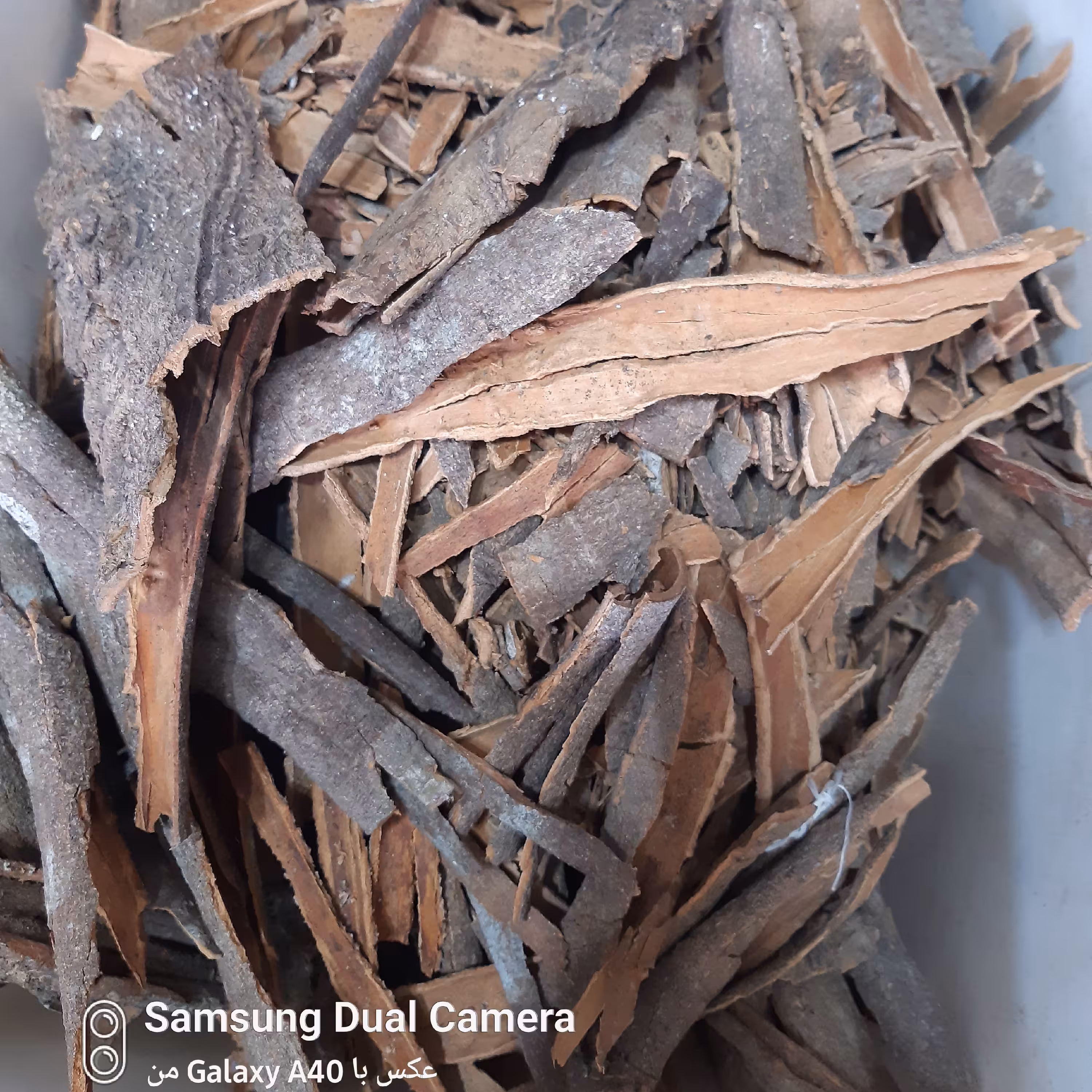 دارچین قلم گلسرخی اعلا (100کیلویی)