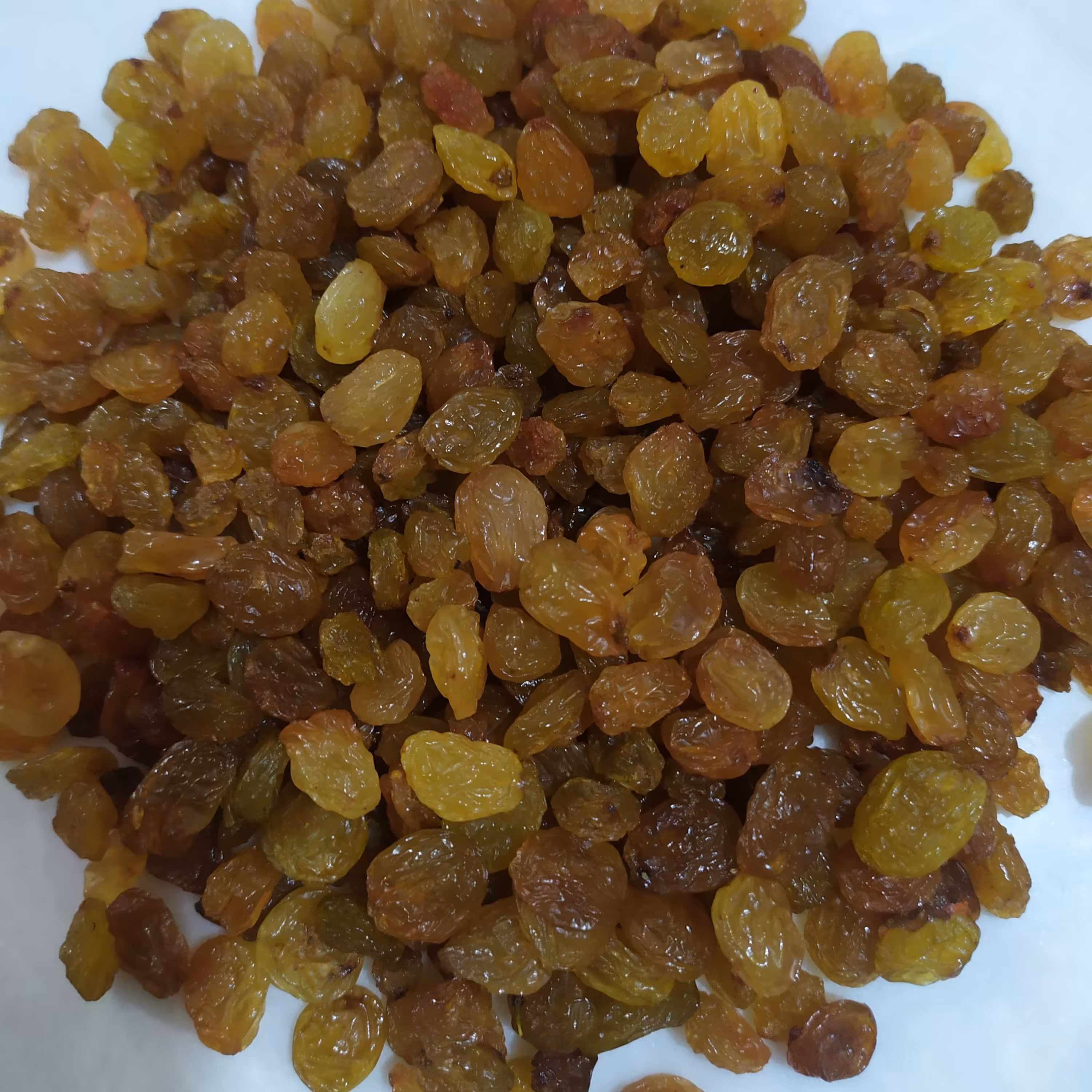 کشمش تیز آبی ملایر مهر 1401 تخفیفی