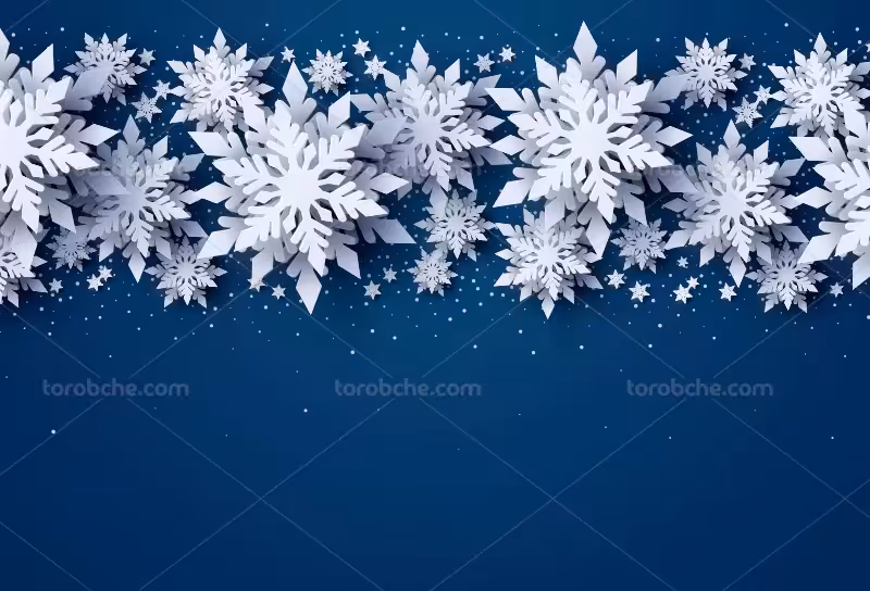 فایل وکتور دانه های برف | گرافیک با طعم تربچه