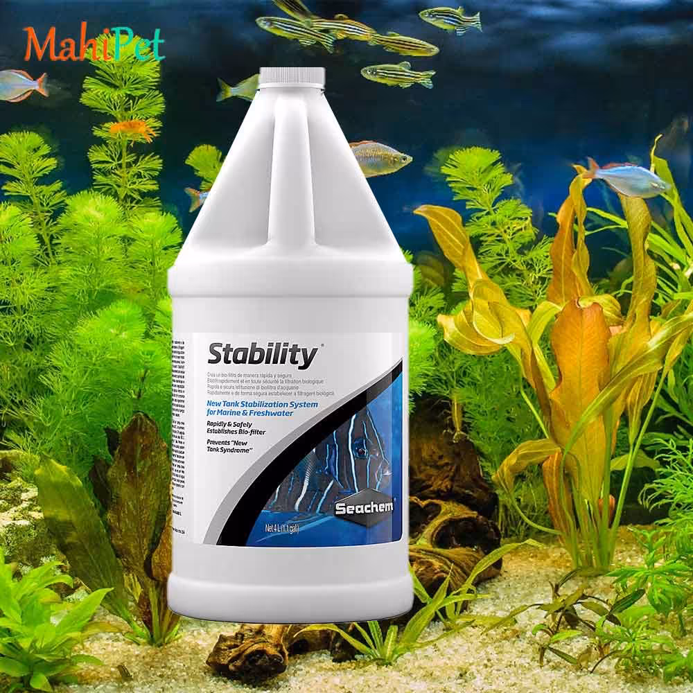 محلول باکتری زنده سیچم seachem Stability حجم 4 لیتر