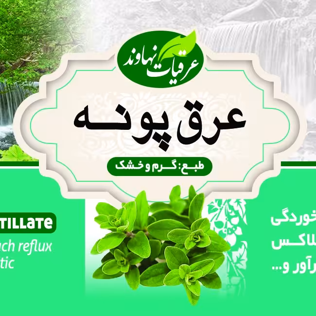 عرق پونه سنگین