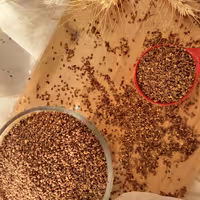 کنجد قهوه ای شسته شده ی مصطفوی 250 گرمی 