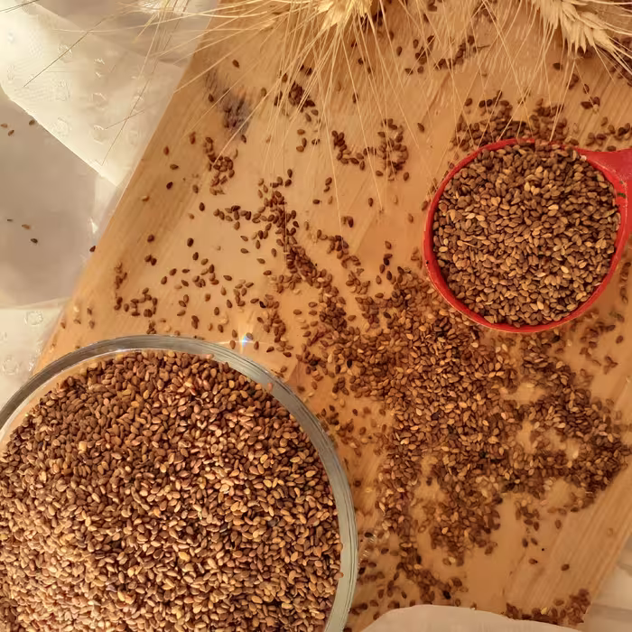 کنجد قهوه ای شسته شده ی مصطفوی 250 گرمی 