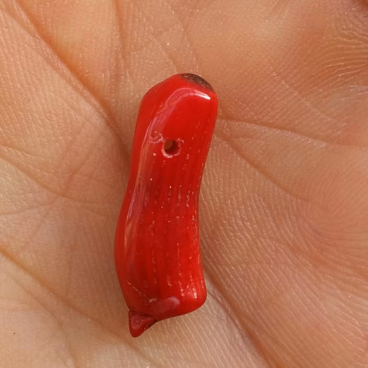 سنگ مرجان سرخ سوراخ دار مناسب آویز محشر شاهکار خلقت بی نظیییر
فوق العاده