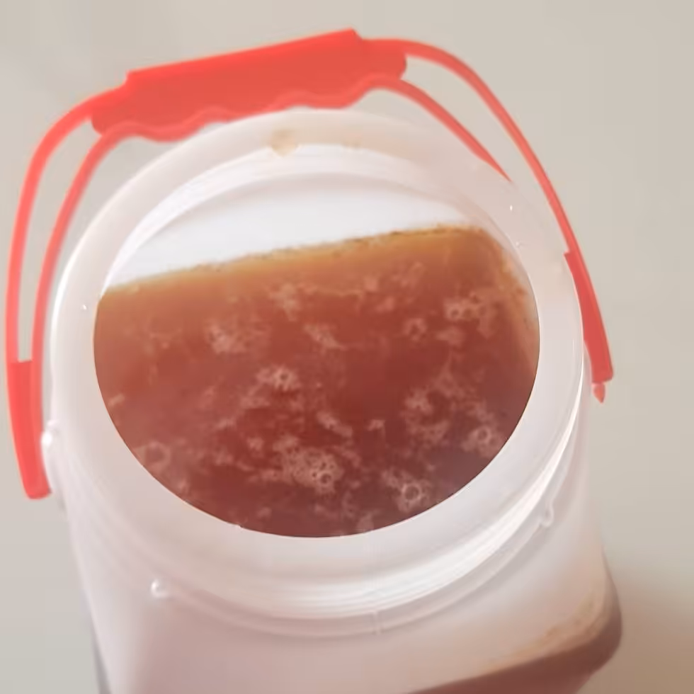 عسل گون بدون موم اعلا 1 کیلویی(خرید بی واسطه مستقیم از زنبورداری)ساکارز2درصد
