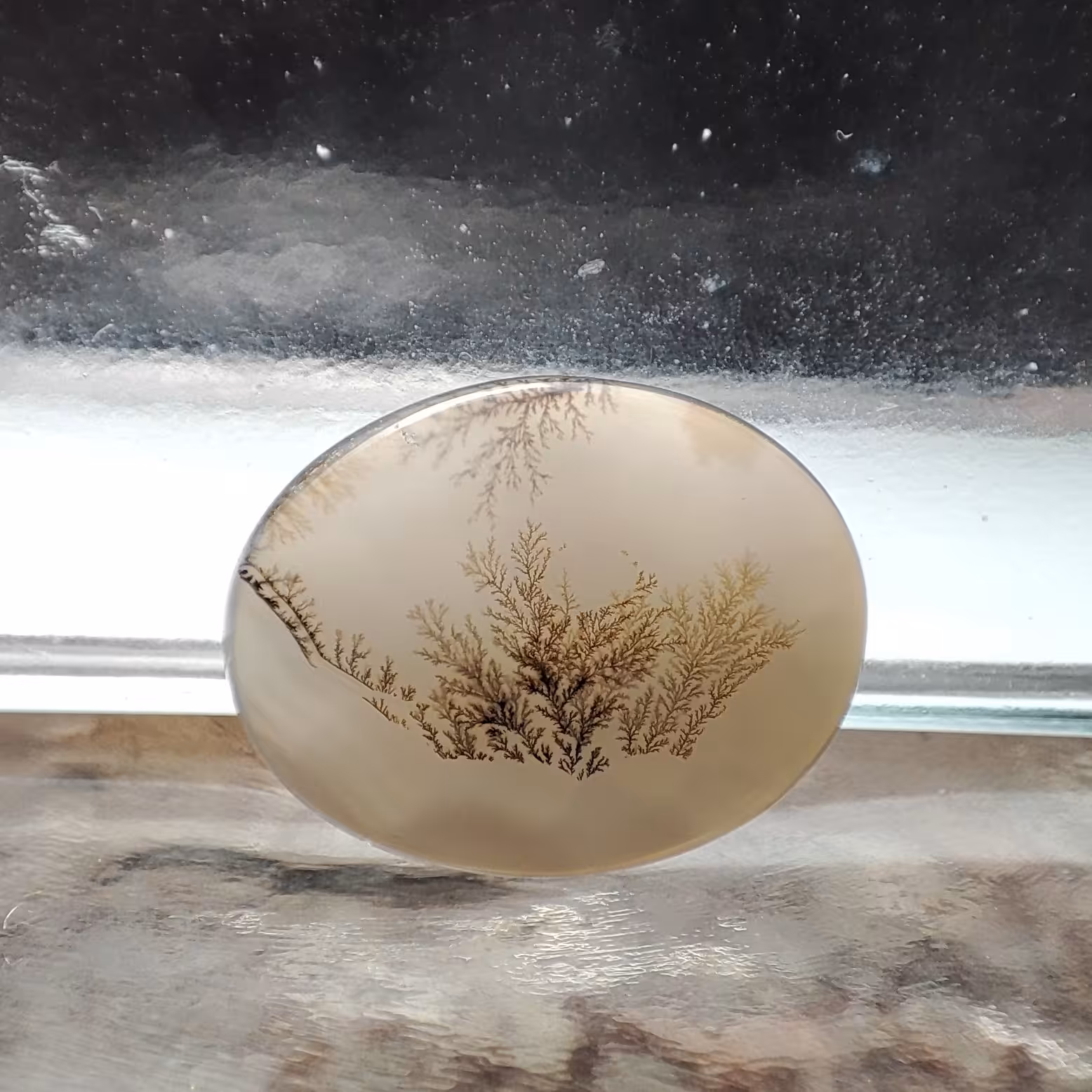 شجر قائن طبیعی و معدنی کد 578