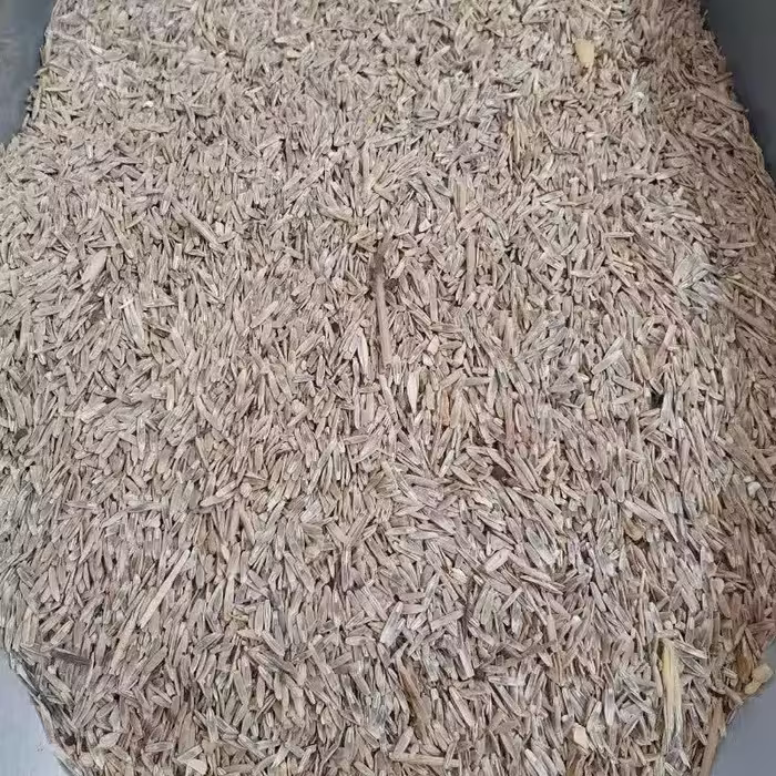 بذر چمن - 500 گرم