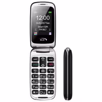 ال سی دی  گوشی GLX F5