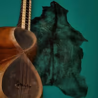 پوست تار بره تودلی