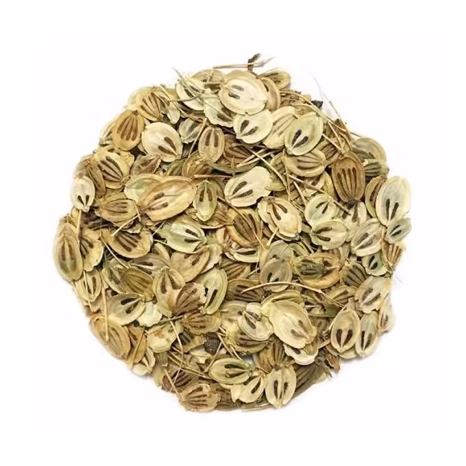 گلپر تازه و درجه یک(یک کیلو)