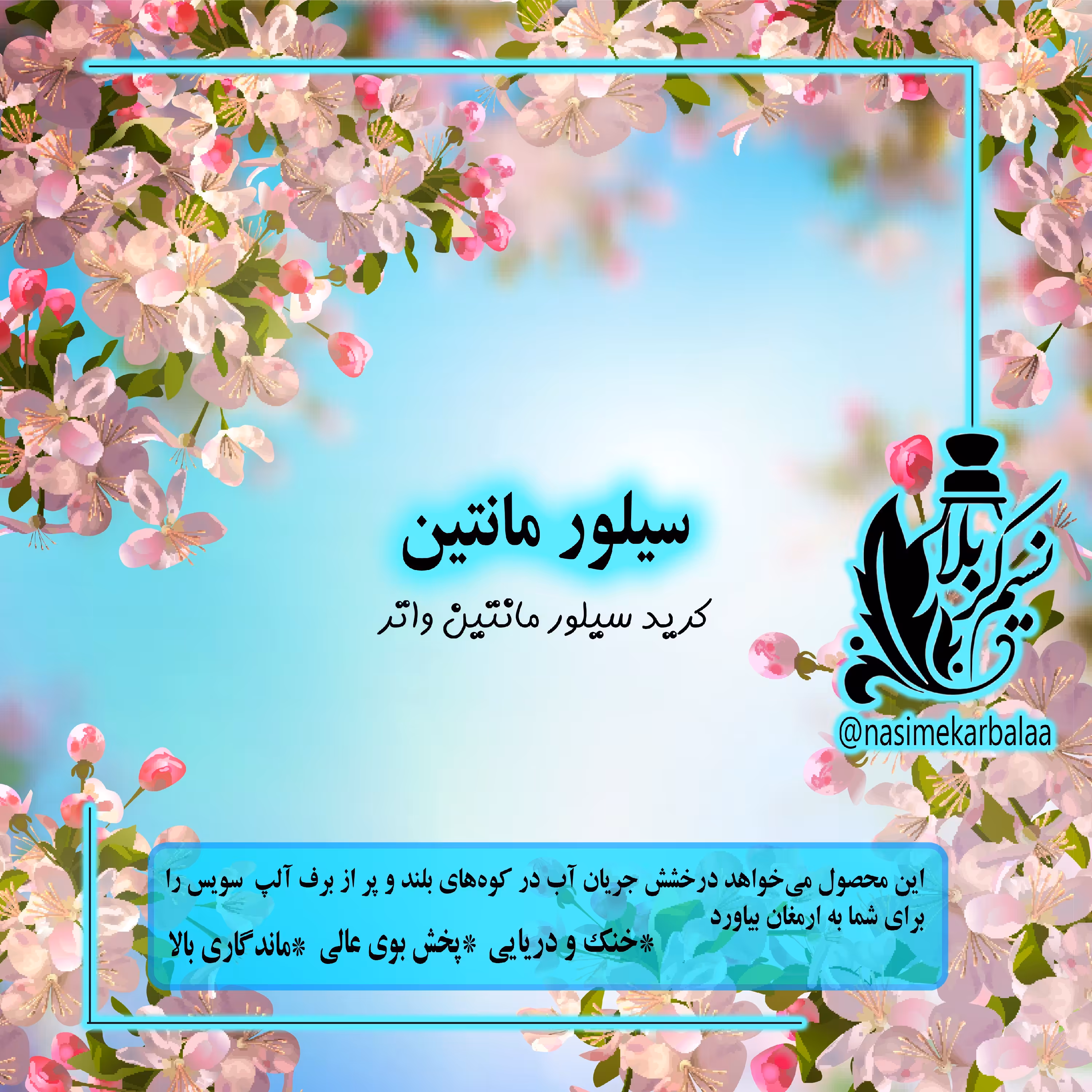 عطر سیلور مانتین بسیار خاص و عالی  