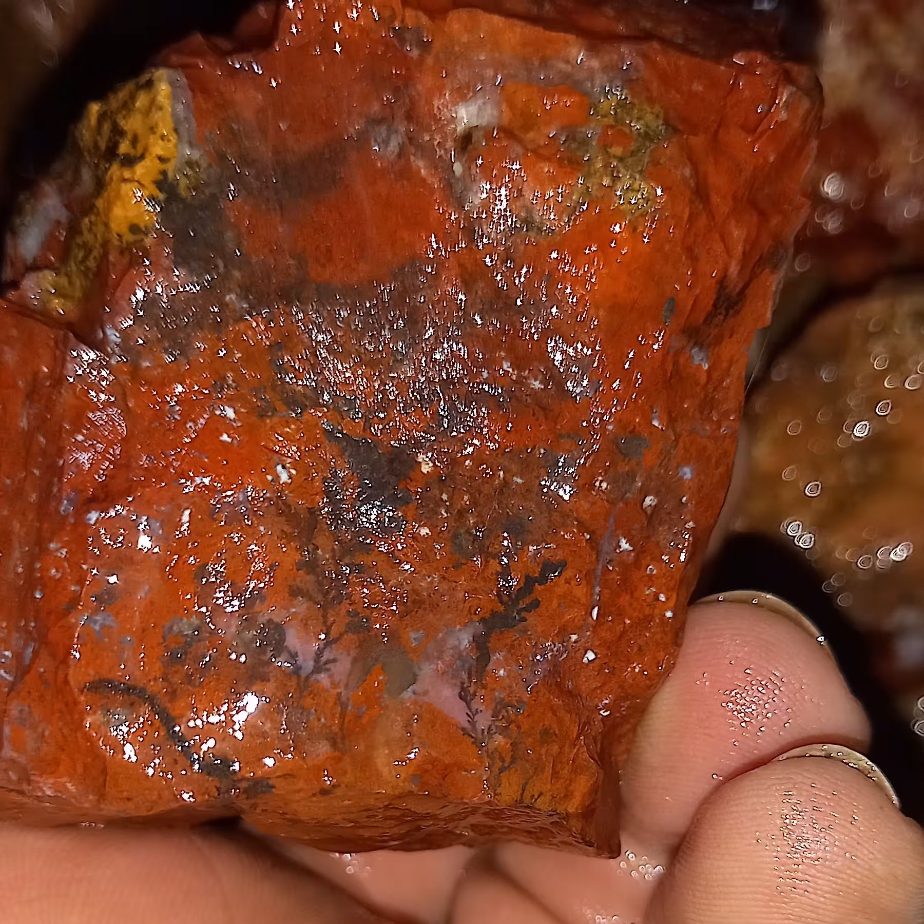 عقیق شجر دندریتی