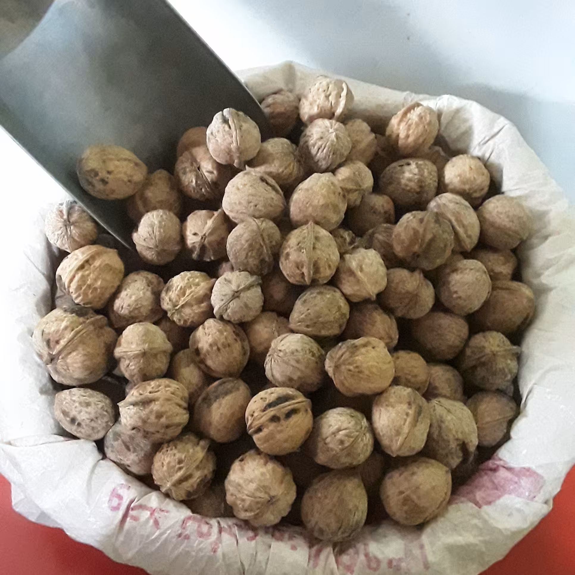 گردوی پر چرب کوهی ارگانیک چهارمحال وبختیاری (1700گرمی)