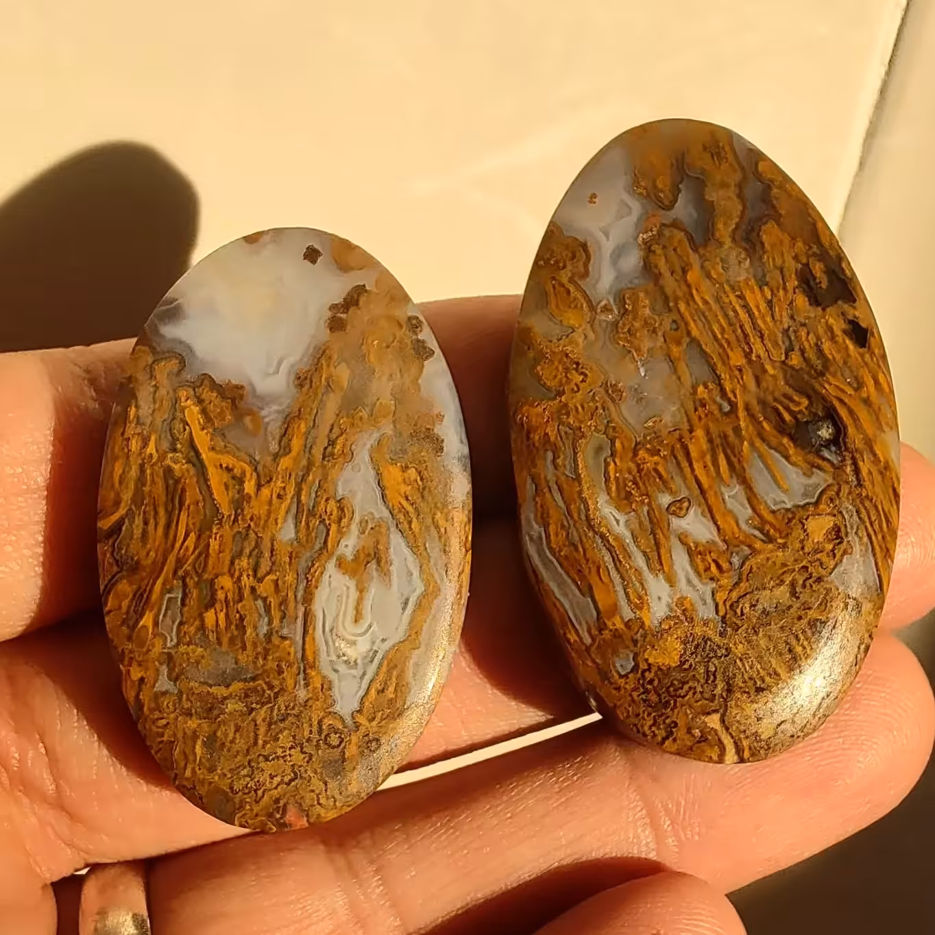 جفت جاسپر پاییزه