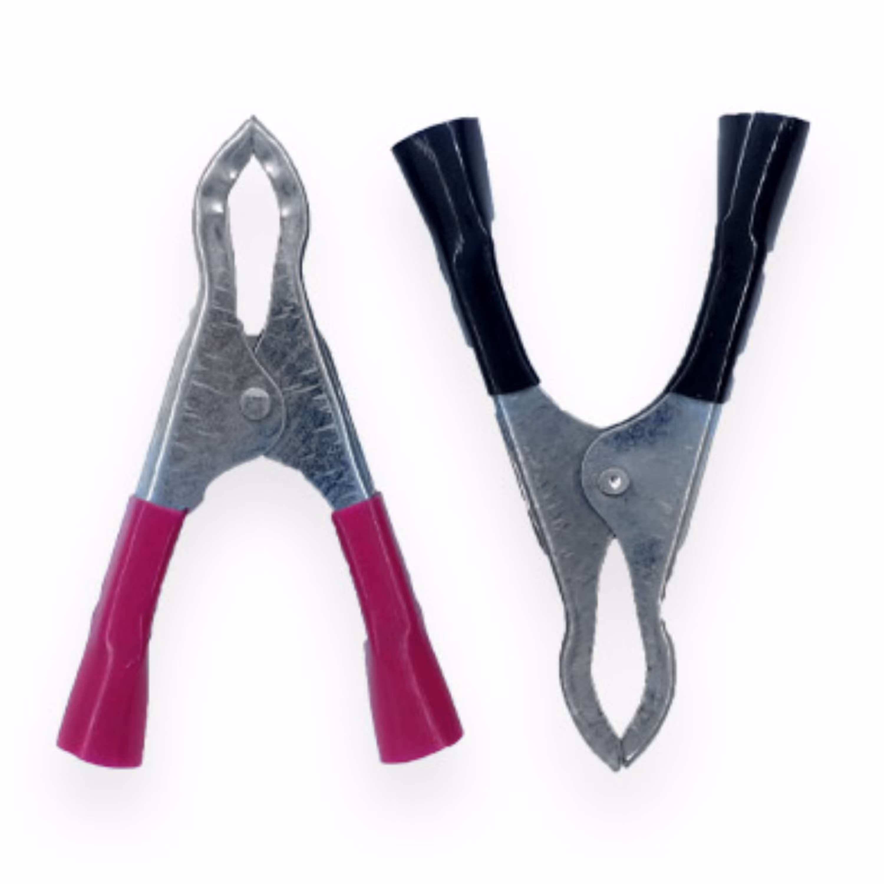 یک جفت گیره سوسماری نهنگی