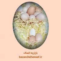 تخم مرغ محلی