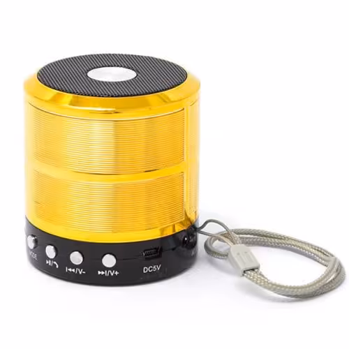 اسپیکر WS-887 | فروشگاه اینترنتی تاتا کالا
