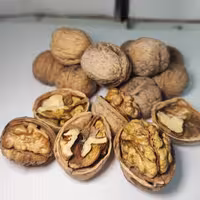 گردو اعلا تازه با پوست کاغذی ( 500 گرمی) گردوی امسال