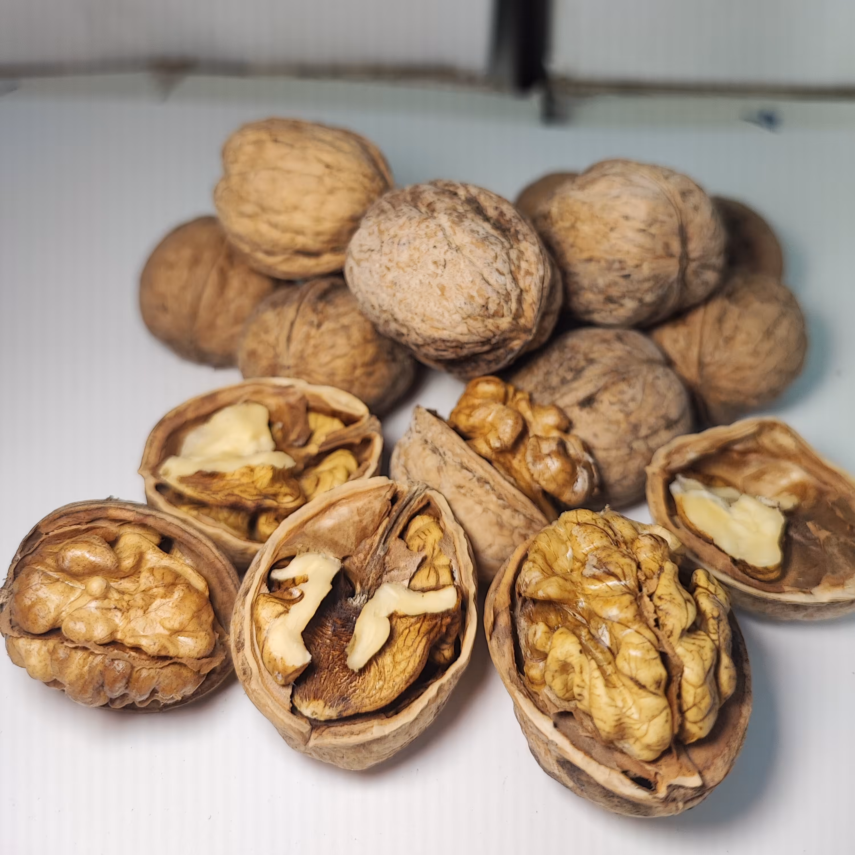 گردو اعلا تازه با پوست کاغذی ( 500 گرمی) گردوی امسال