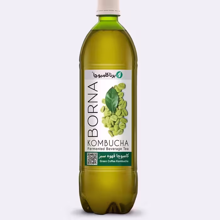 کامبوچا قهوه سبز 