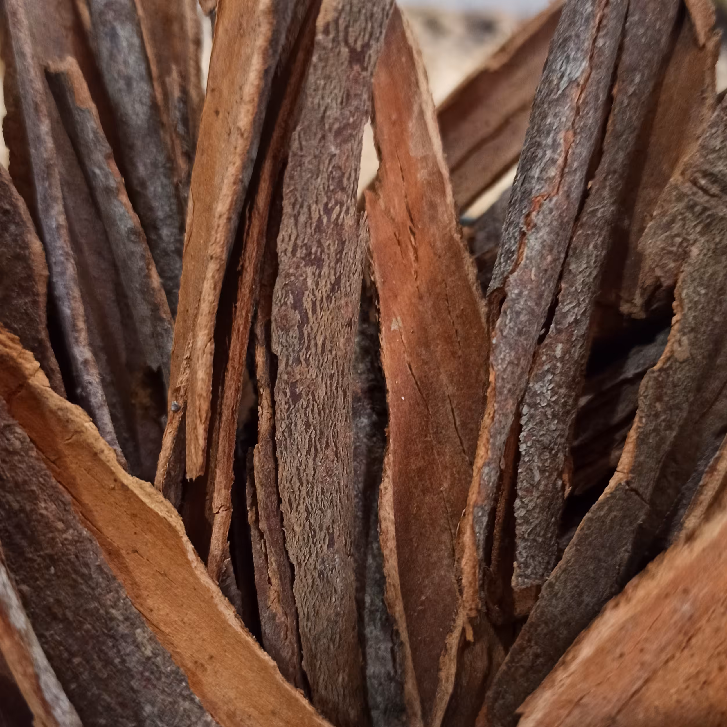 دارچین ورقه ای گلسرخی اعلا  ( 100 گرم ) 