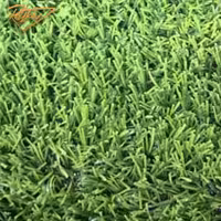 چمن مصنوعی ارکیده