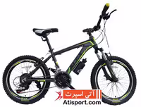 دوچرخه بچه گانه Alex Optima 20 466