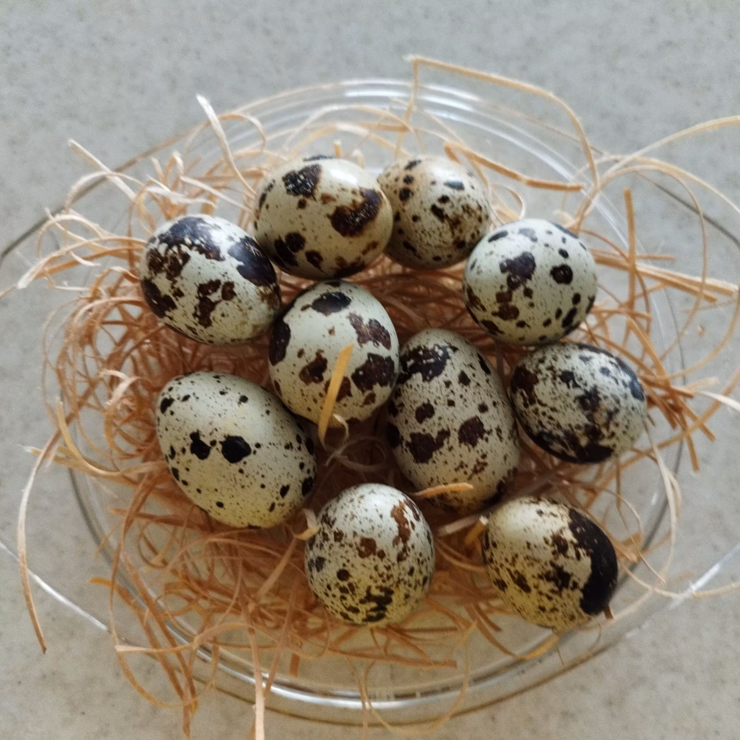 تخم بلدرچین200گرمی