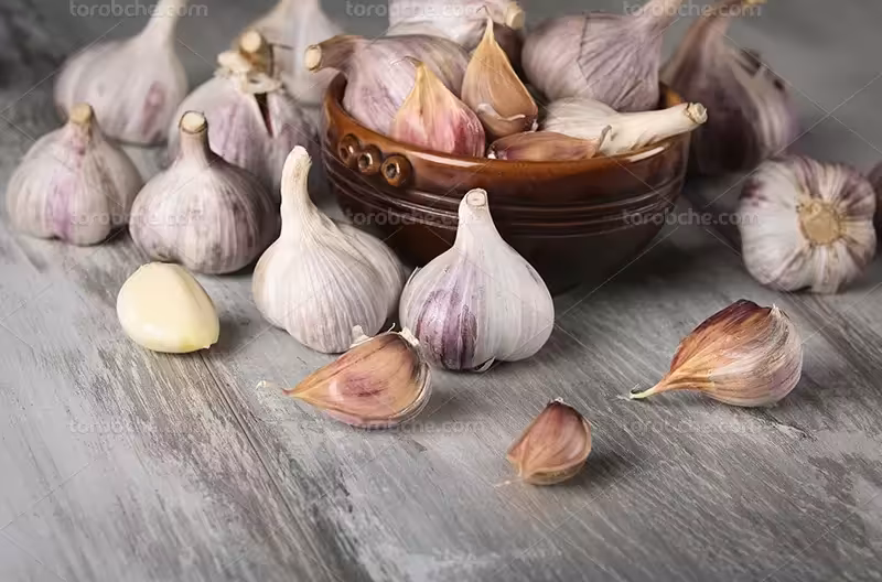 عکس با کیفیت سیر | گرافیک با طعم تربچه