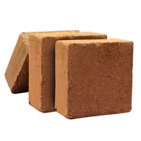 کوکوپیت هندی