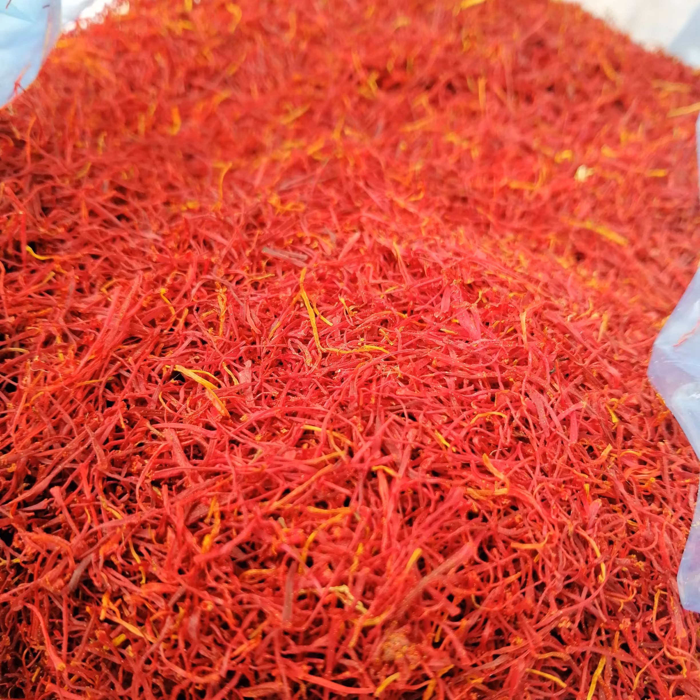 زعفران پوشال صادراتی