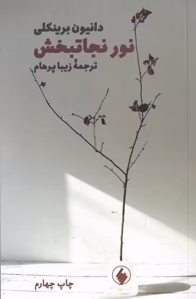 کتاب نور نجاتبخش اثر دانیون برینکلی ترجمه زیبا پرهام