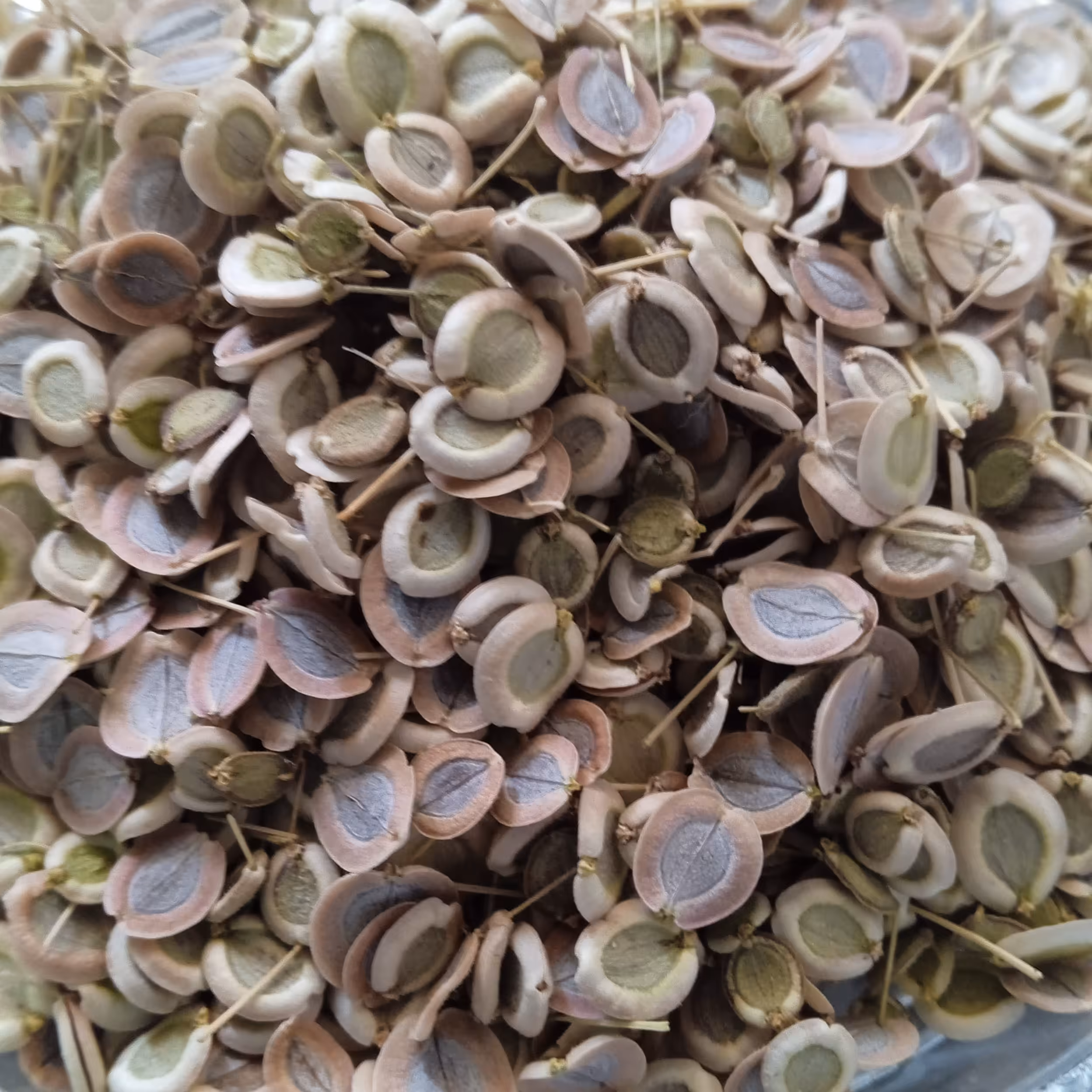 گیاه گلپر طبیعی اعلا(50)گرم