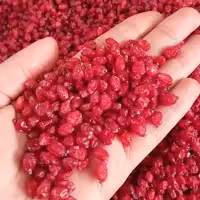 زرشک پفکی لوکس  یک کیلویی