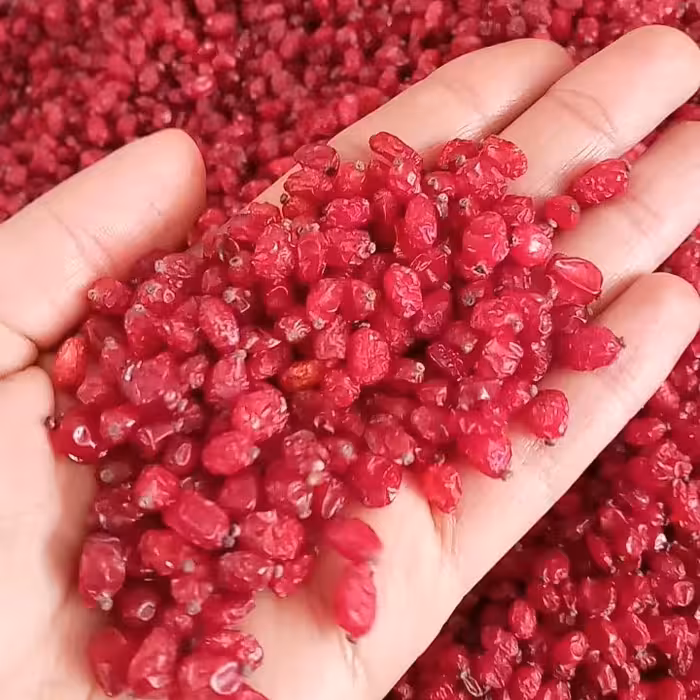 زرشک پفکی لوکس  یک کیلویی