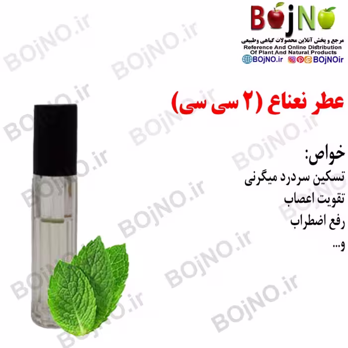 عطر نعناع (2 سی سی)