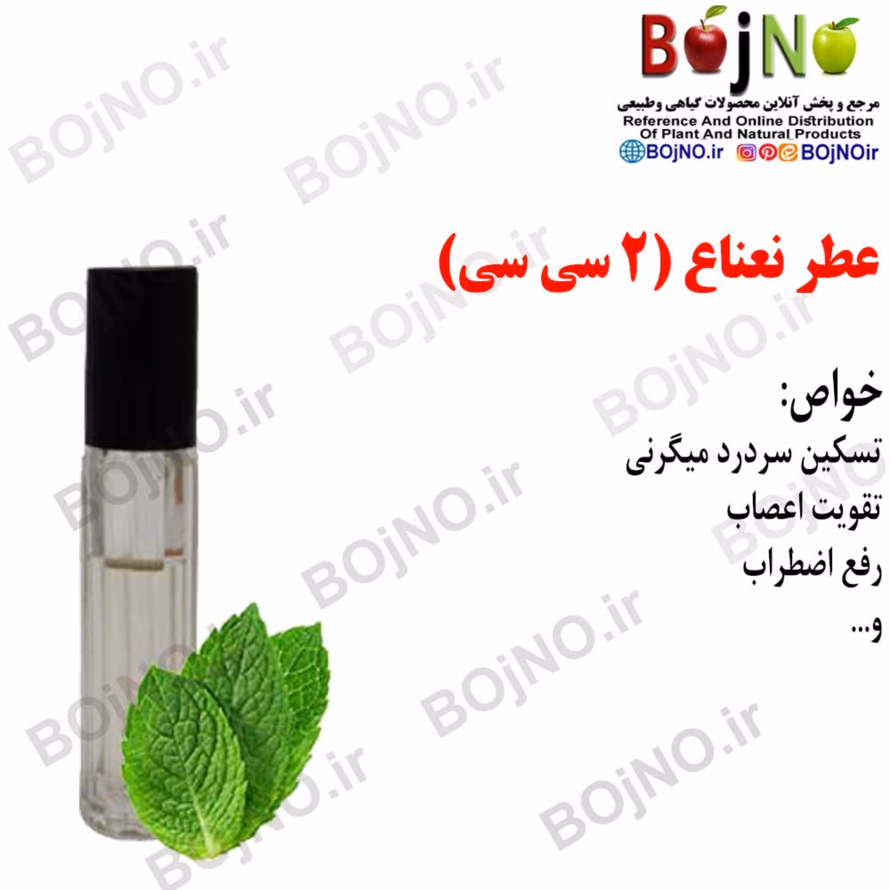 عطر نعناع (2 سی سی)