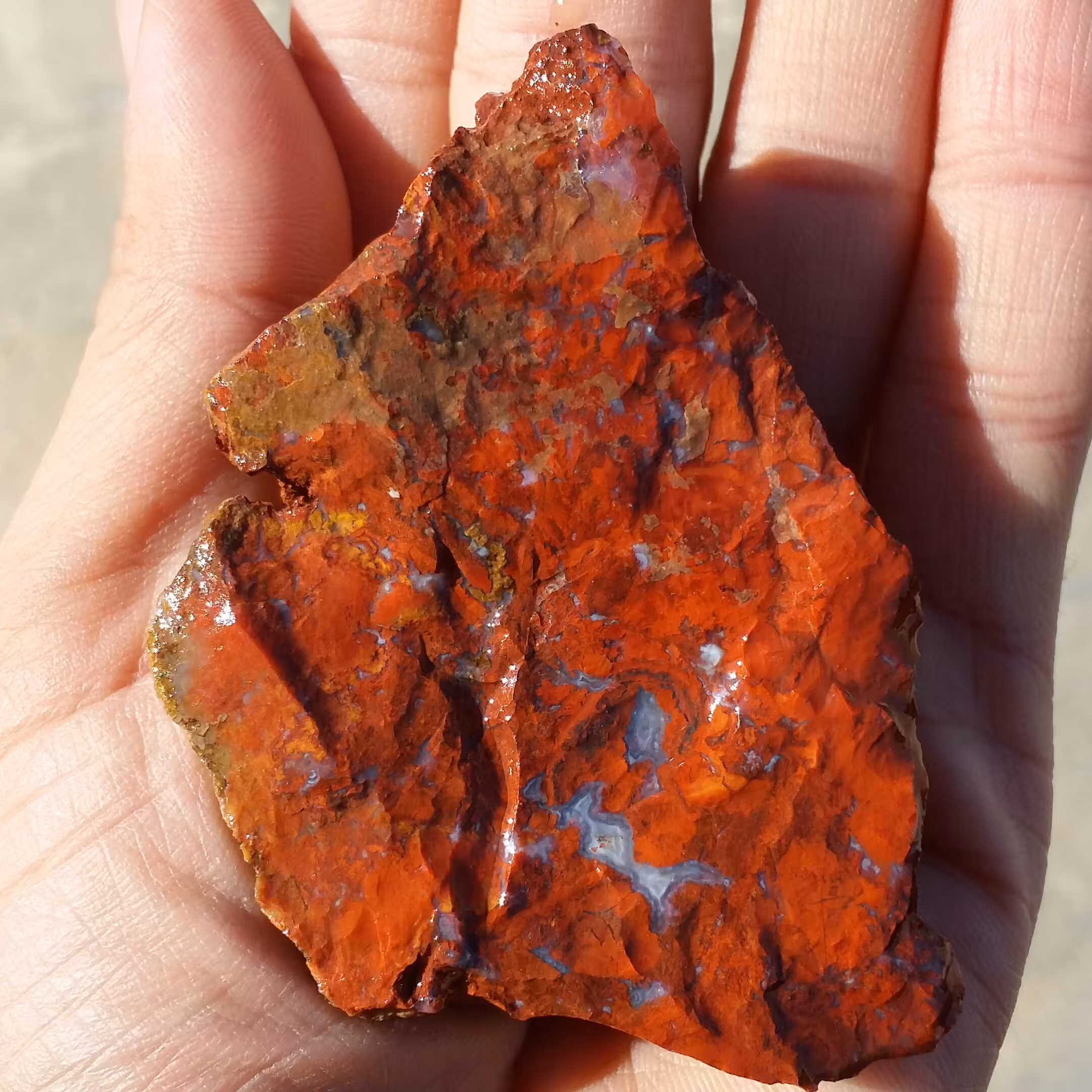 سنگ راف جاسپر منظره سرخ یا جاسپر خون 100 در 100 طبیعی خاص بی نظییر
