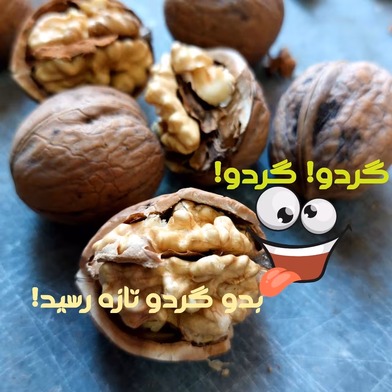 گردوی درجه 1 برداشت امسال یک کیلویی