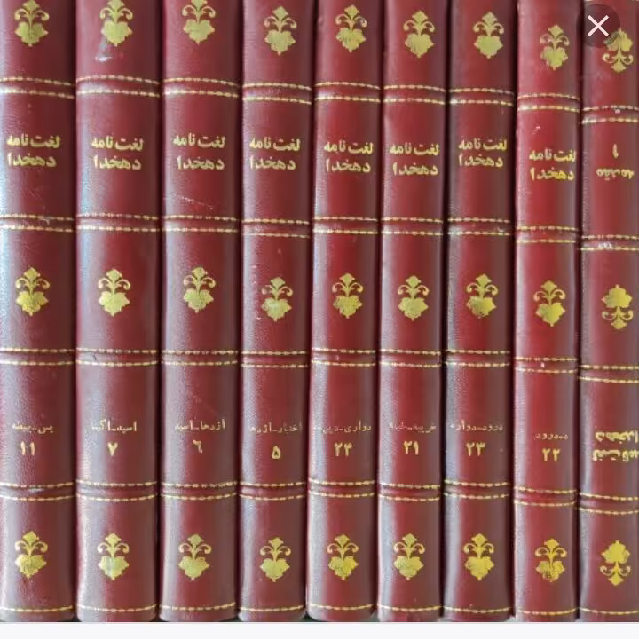 کتاب لغت نامه 50 جلدی دهخدا چاپ ایتالیا
