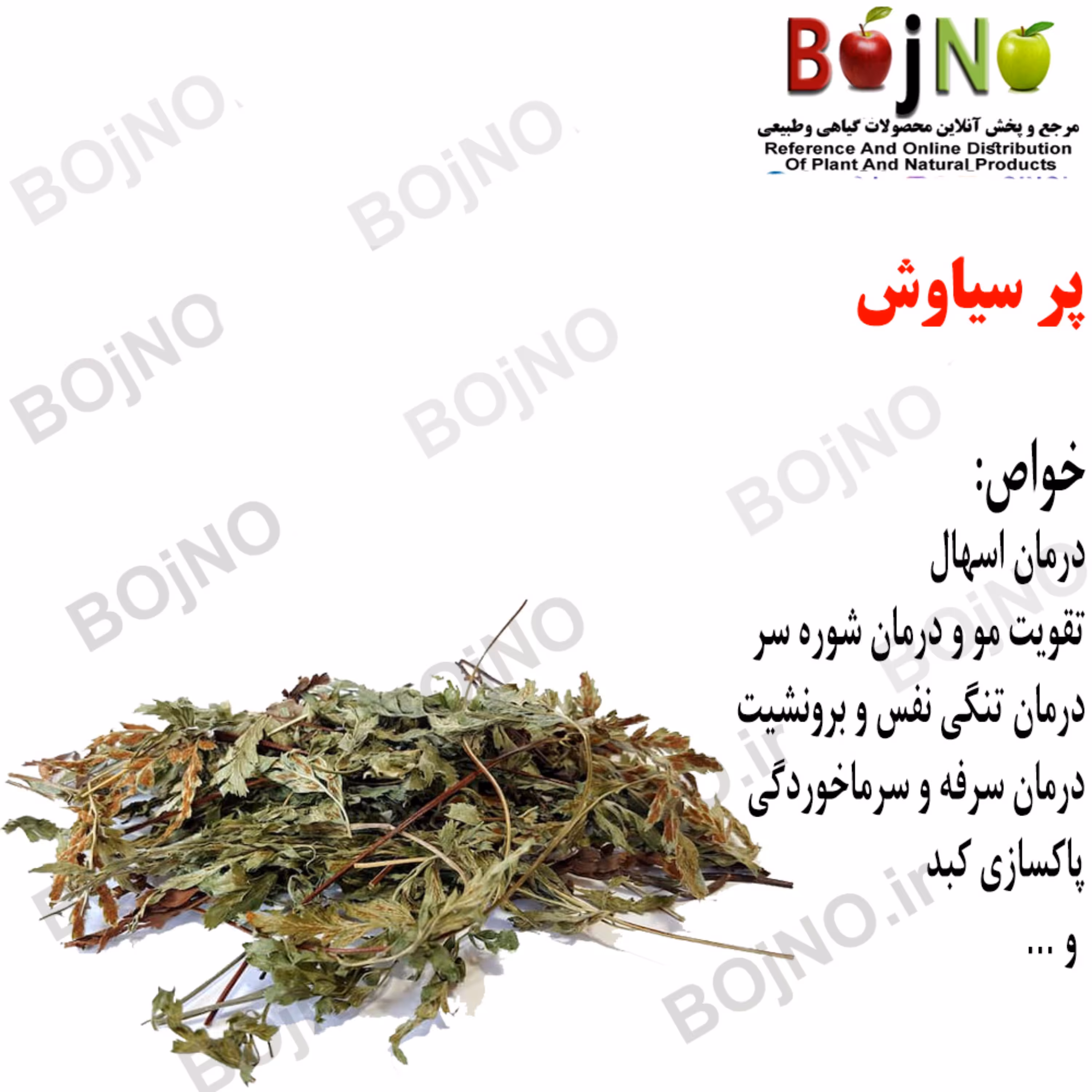 پر سیاوش ( بسته 30 گرمی)