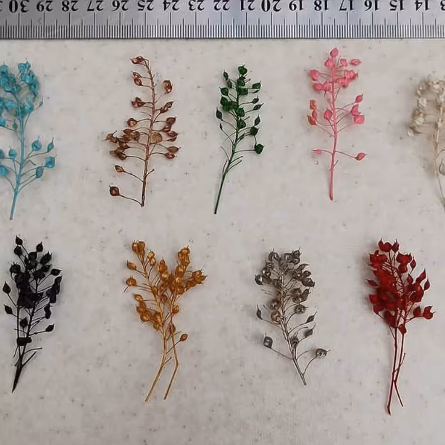 گل میکرونی پک 6 عددی( تک رنگ )