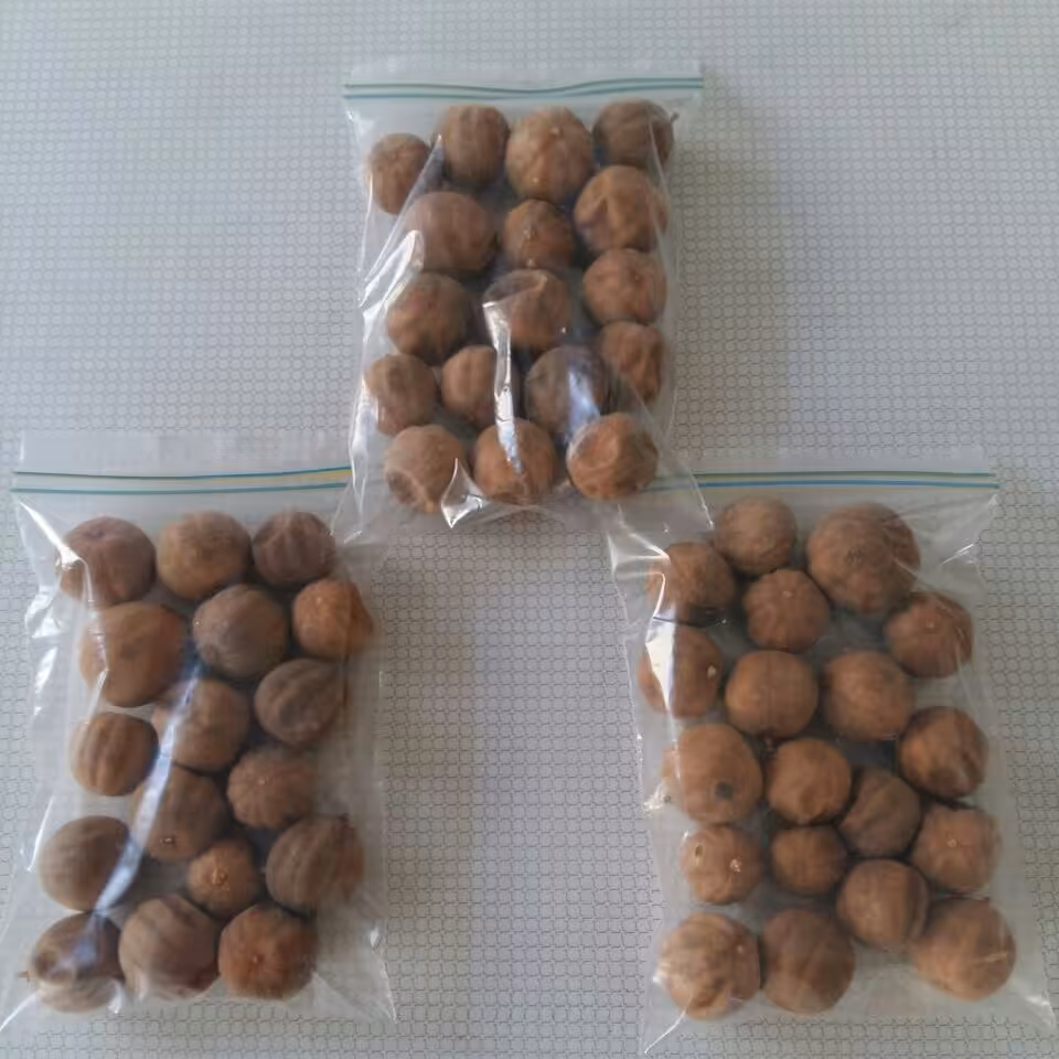 لیمو عمانی اعلا