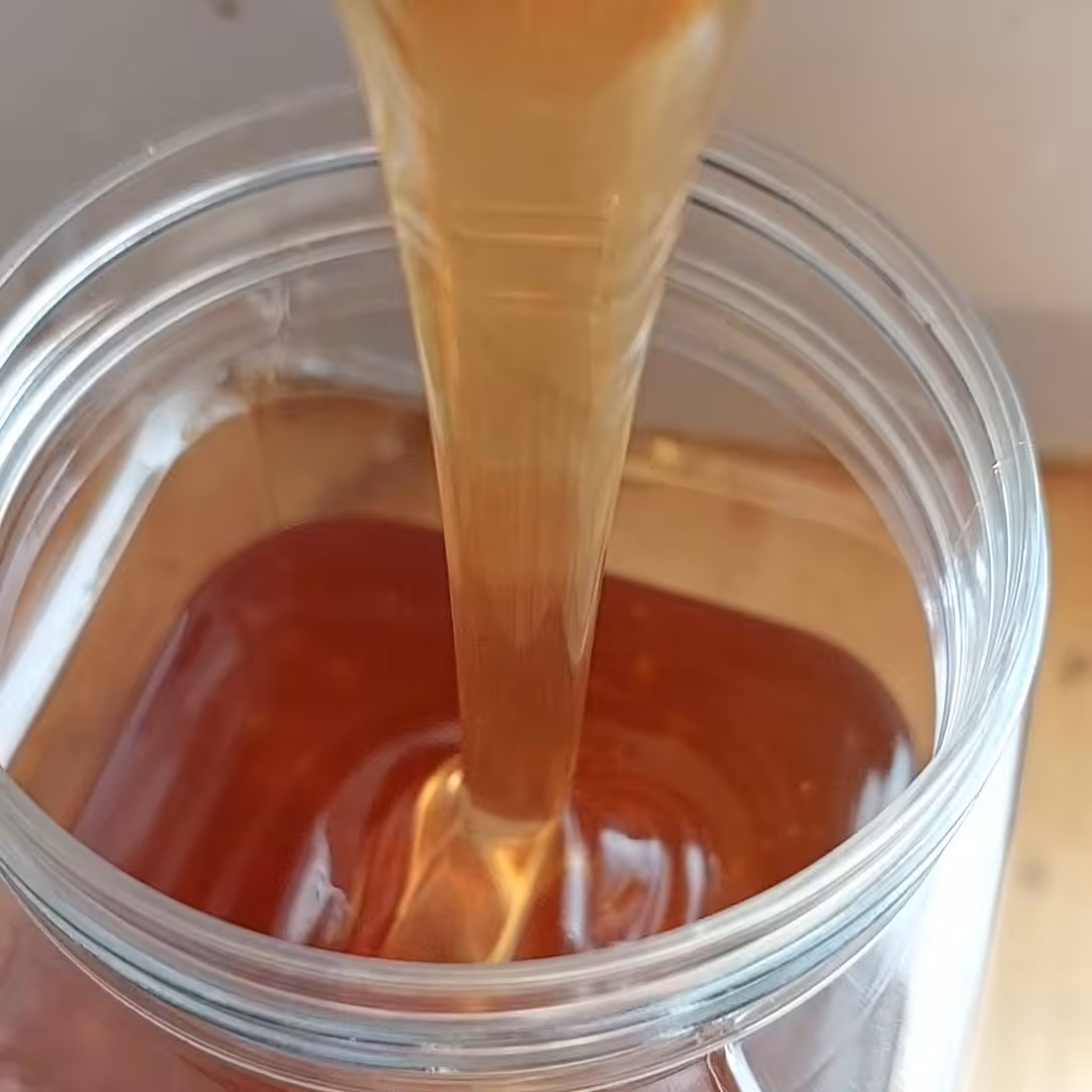 عسل طبیعی خلخال(یک کیلو شهد)