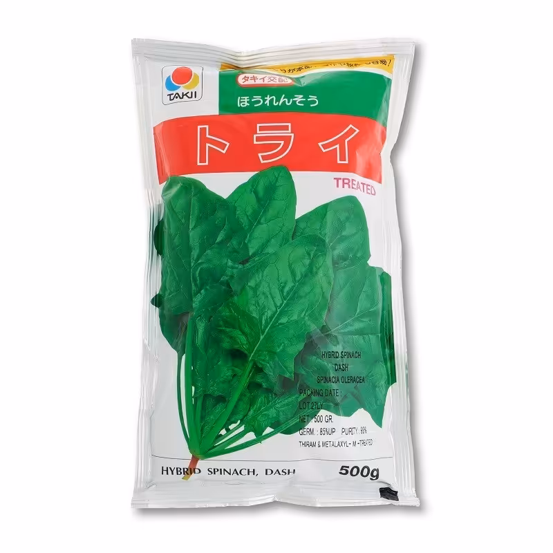 بذر اسفناج مدل dash F1  برند تاکی بسته 500 گرمی